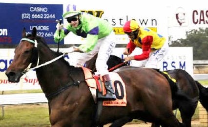 Second time around? Mystic Vibe, ridden by Luke Rolls and trained by Lennie Wheeler, of the Gold Coast, won the Beef Week Cup in May and is back in town for a crack at the Casino Cup. Second time around? Mystic Vibe, ridden by Luke Rolls and trained by Lennie Wheeler, of the Gold Coast, won the Beef Week Cup in May and is back in town for a crack at the Casino Cup.